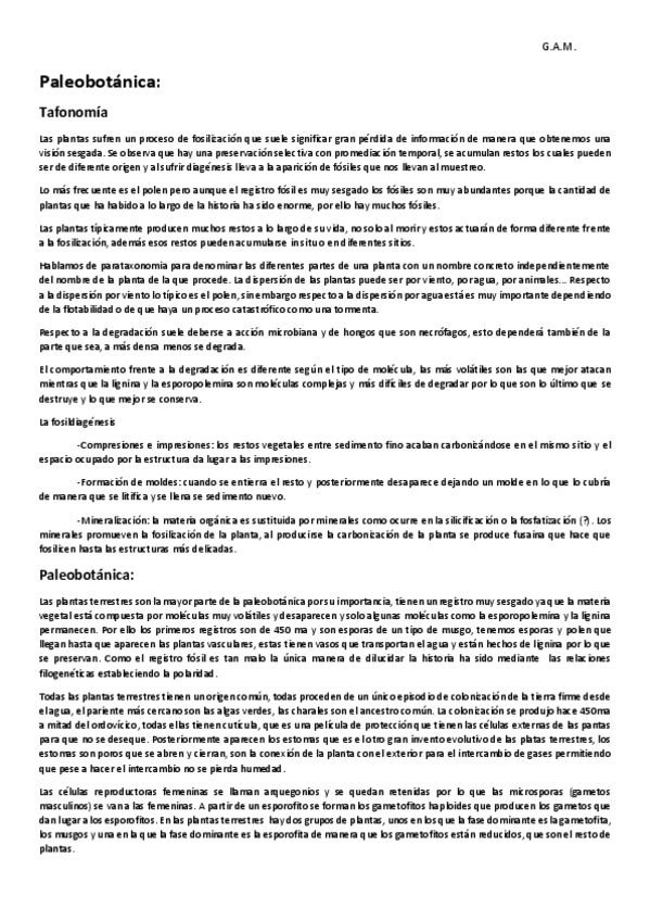 Miniatura del documento Ampliación de paleo.pdf