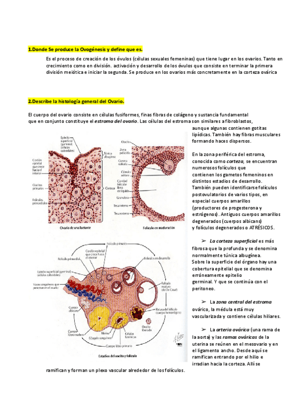 Miniatura del documento seminario-SRF-.pdf