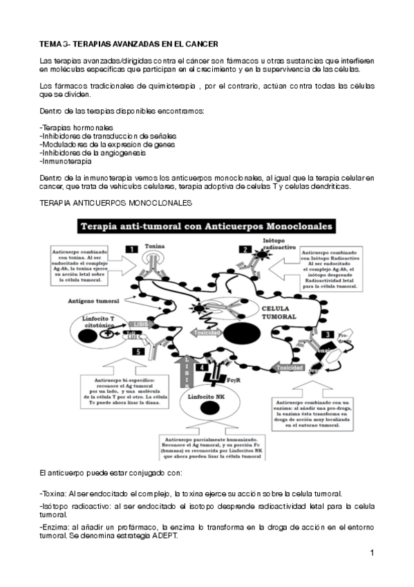 Miniatura del documento TEMA-3-TERAPIAS-AVANZADAS-EN-EL-CANCER.pdf