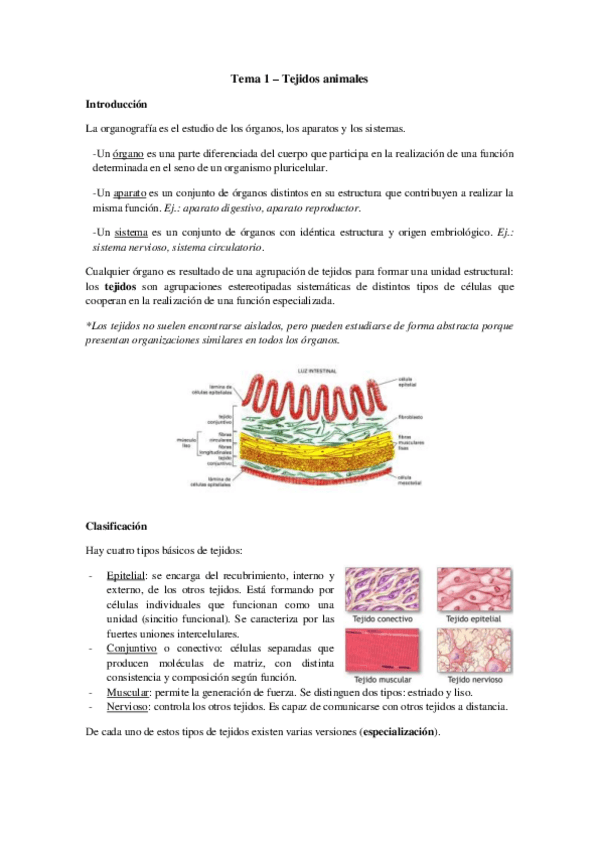 Miniatura del documento Tema 1 - Tejidos animales.pdf