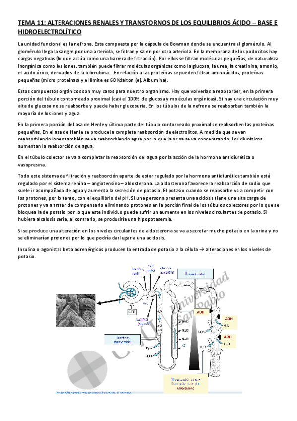Miniatura del documento TEMA-11.pdf