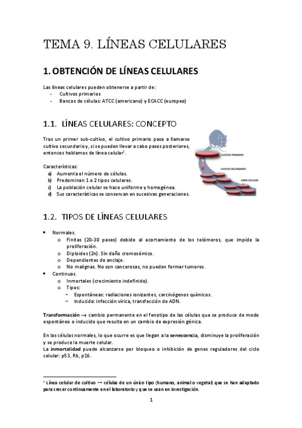 Miniatura del documento t9resumen.pdf