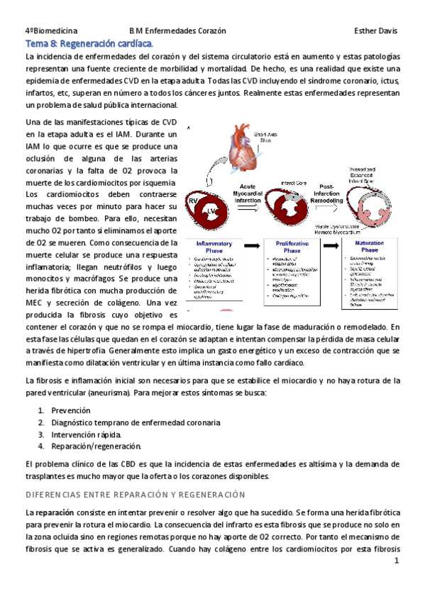 Miniatura del documento Tema-8-Regeneracion-cardiaca.pdf