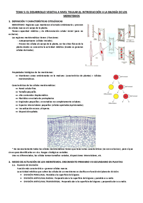 Miniatura del documento Tema-5.pdf