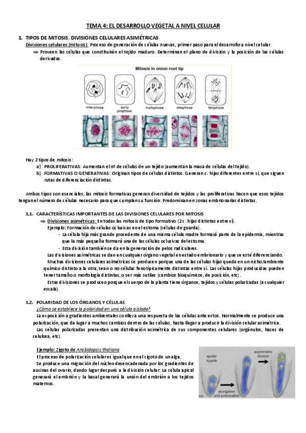 Miniatura del documento Tema-4.pdf