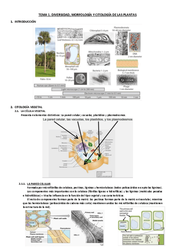 Miniatura del documento Tema-1.pdf