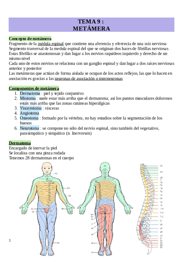 Miniatura del documento TEMA-9-metamera.pdf