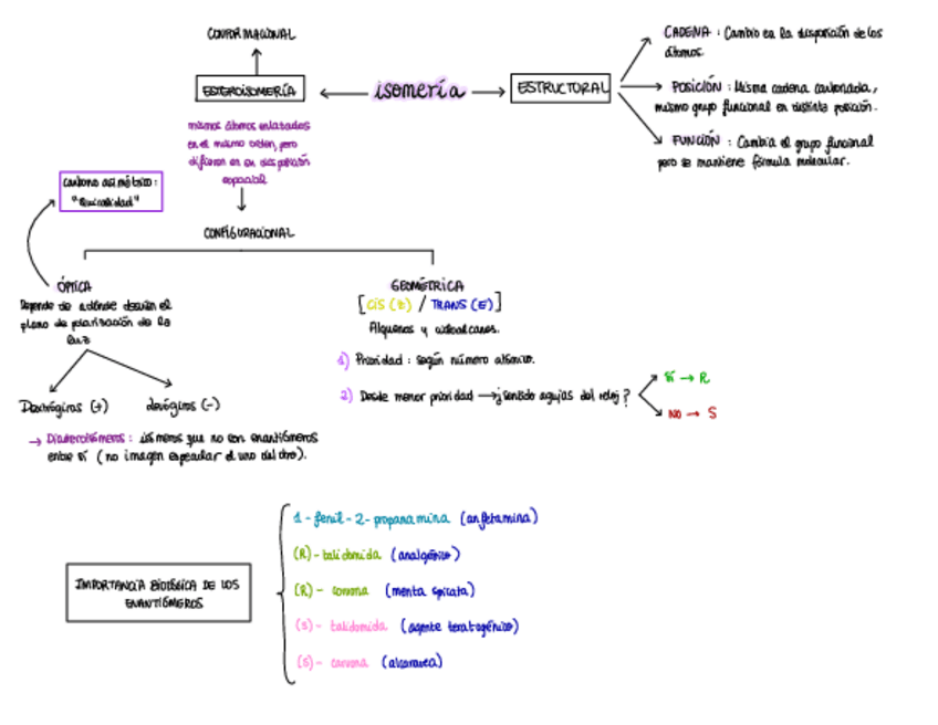 Miniatura del documento Vision-General-Isomeria-1.pdf