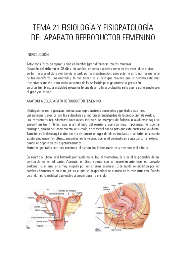 Miniatura del documento Tema-21-2021-completo.pdf