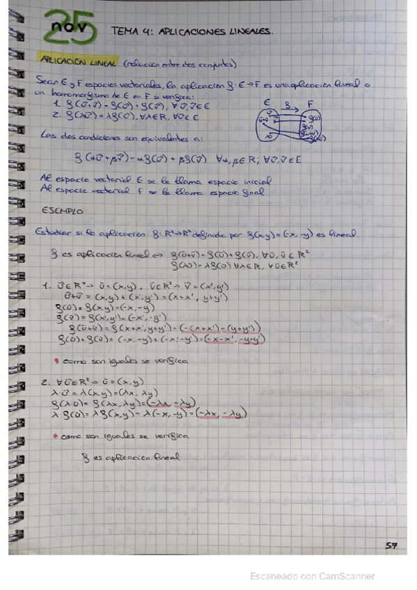 Miniatura del documento apuntes-aplicaciones-lineales.pdf