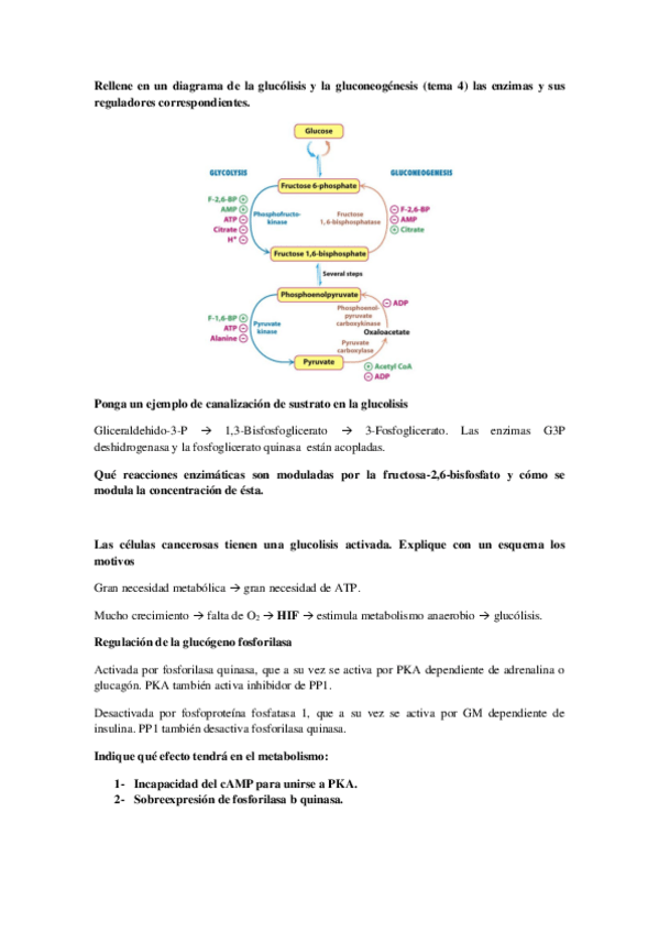Miniatura del documento Cuestiones de exámenes.pdf