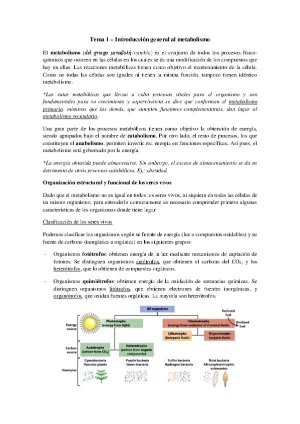 Miniatura del documento Tema 1 - Introducción general al metabolismo.pdf