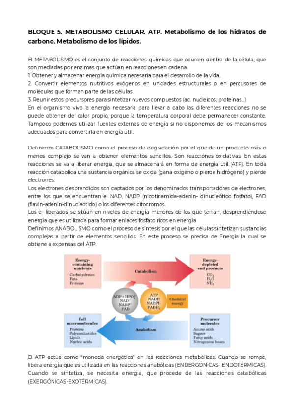 Miniatura del documento Bloque-5.pdf