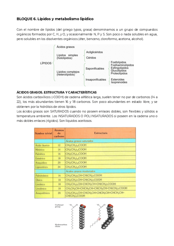 Miniatura del documento Bloque-6.pdf