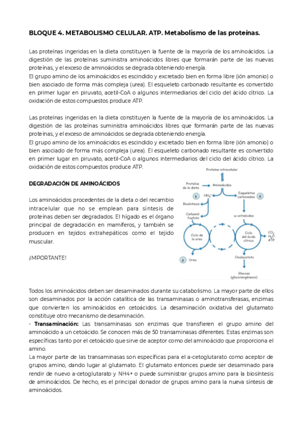 Miniatura del documento Bloque-4.pdf