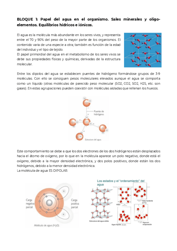 Miniatura del documento Bloque-1.pdf