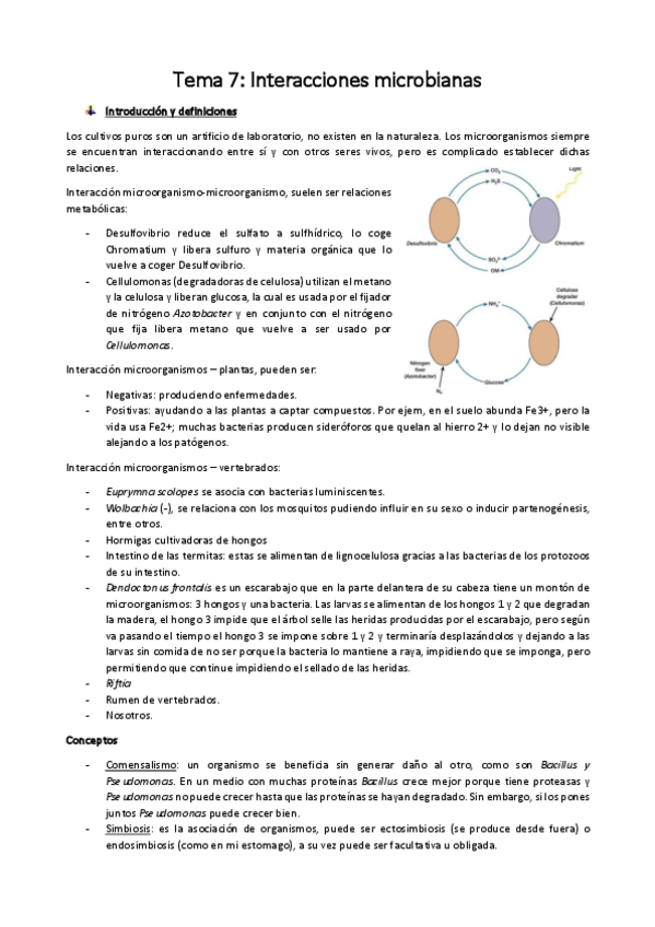 Miniatura del documento Tema 7