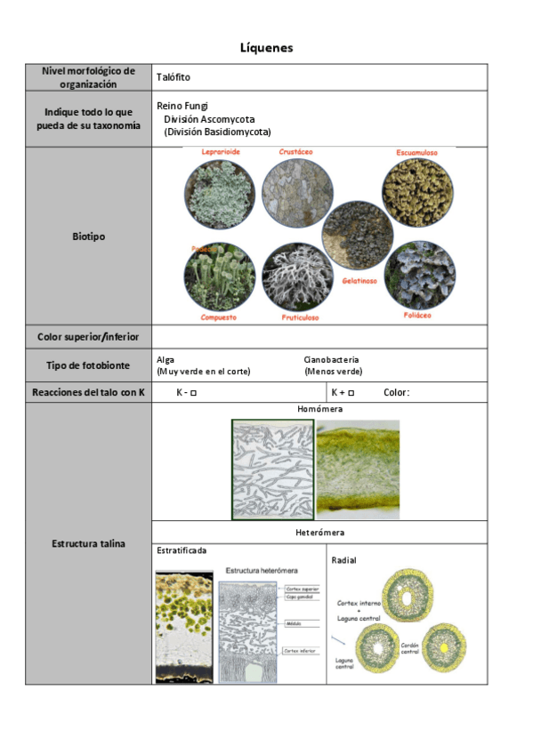 Miniatura del documento Ficha-liquenes.pdf