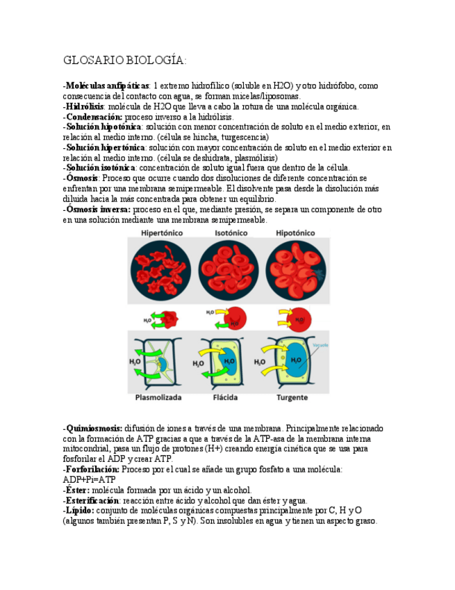 Miniatura del documento GLOSARIO-BIOLOGIA.pdf