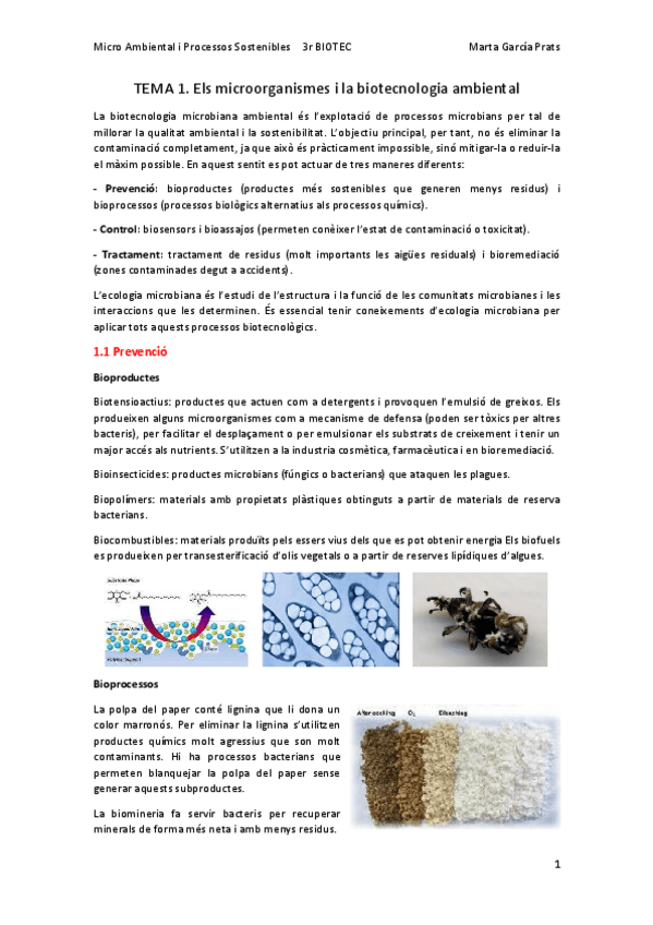 Miniatura del documento MAPS-Tema-1.pdf