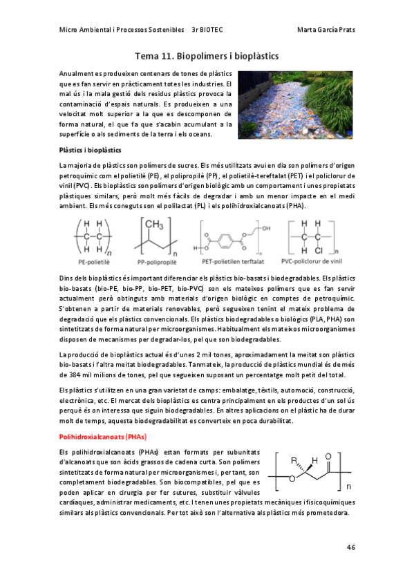 Miniatura del documento MAPS-Tema-11.pdf