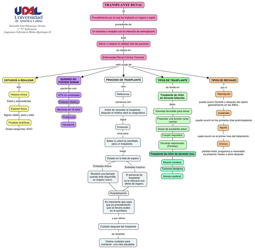 Miniatura del documento MAPA-CONCEPTUAL-3.pdf