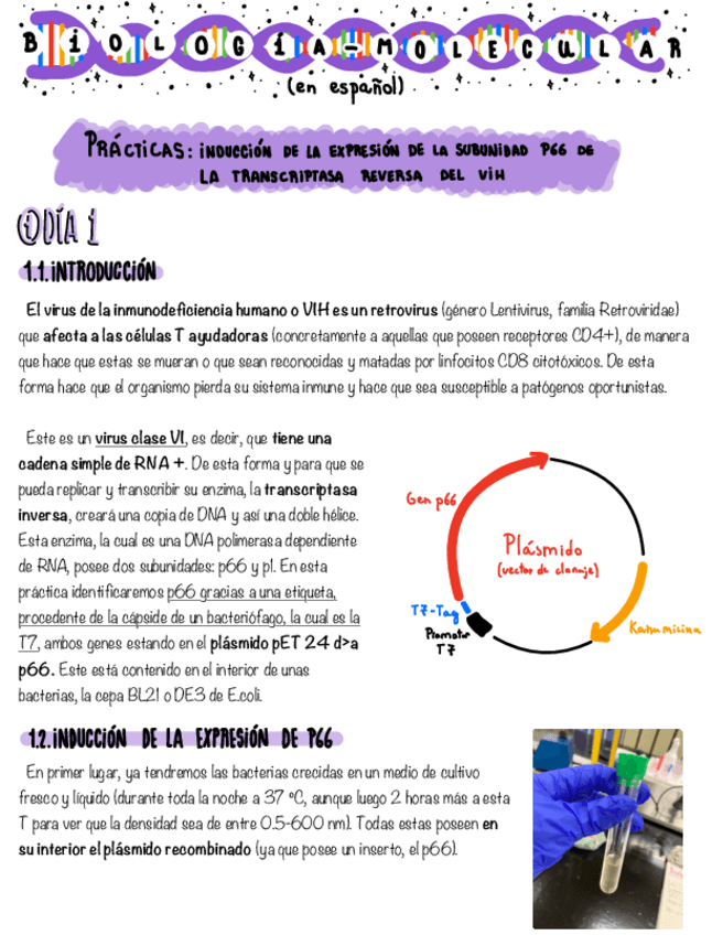 Miniatura del documento Practicas-biomol.pdf
