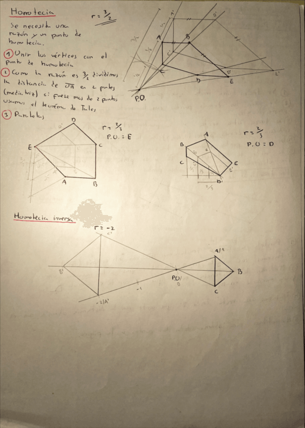 Miniatura del documento HOMOTECIA-1bach.pdf