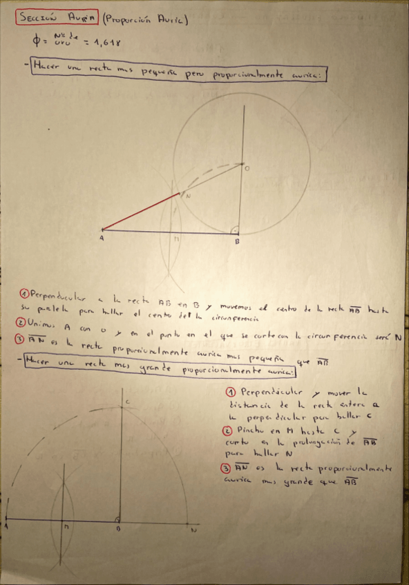Miniatura del documento SECCION-AURIA.pdf