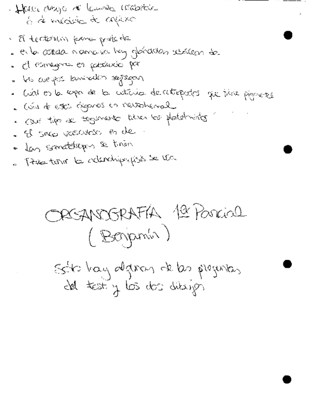 Miniatura del documento Organografía.pdf