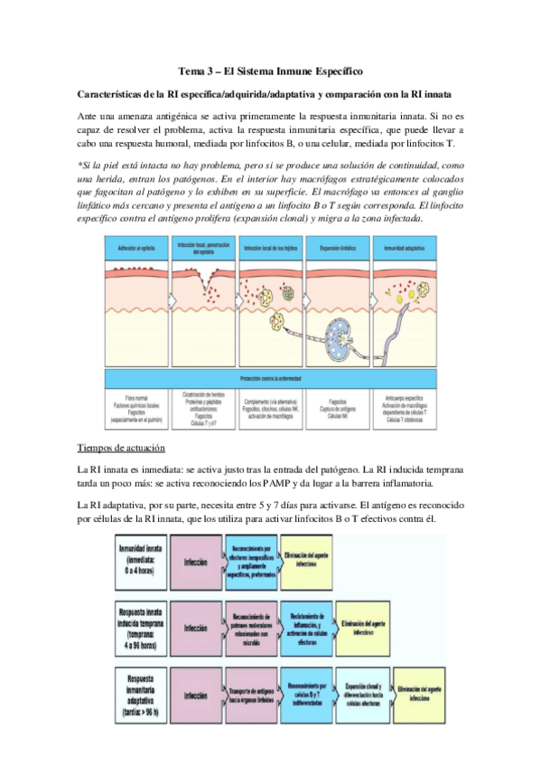 Miniatura del documento Tema 3 - Respuesta inmune específica.pdf