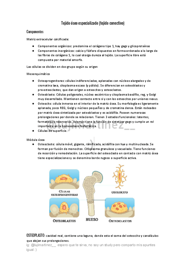 Miniatura del documento Tejido-oseo-y-cartilaginoso.pdf
