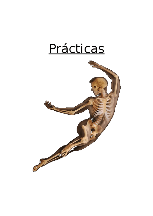 Miniatura del documento Prácticas de cine.docx