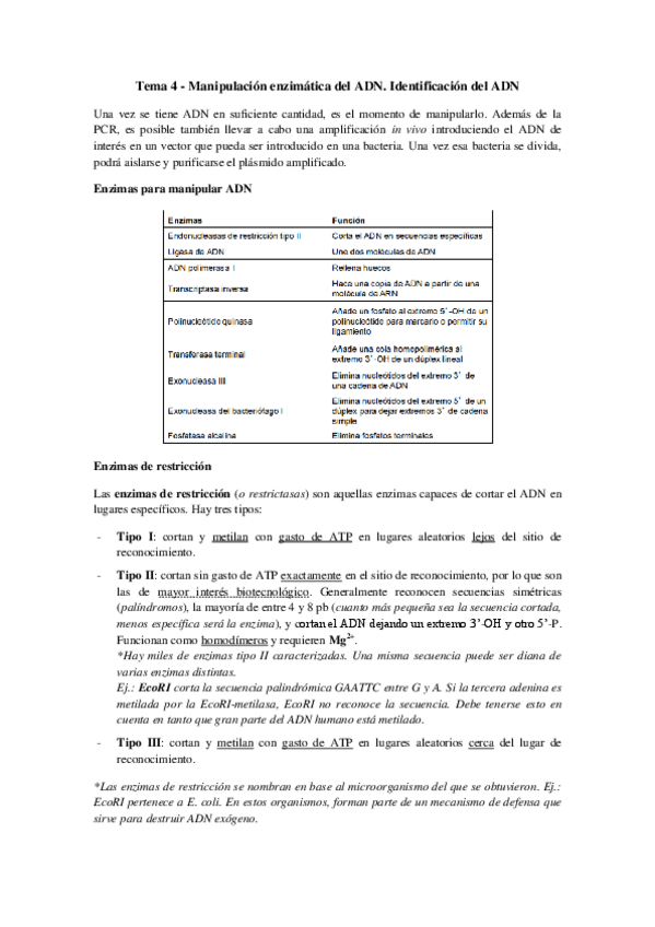 Miniatura del documento Tema 4 - Manipulación enzimática del ADN.pdf