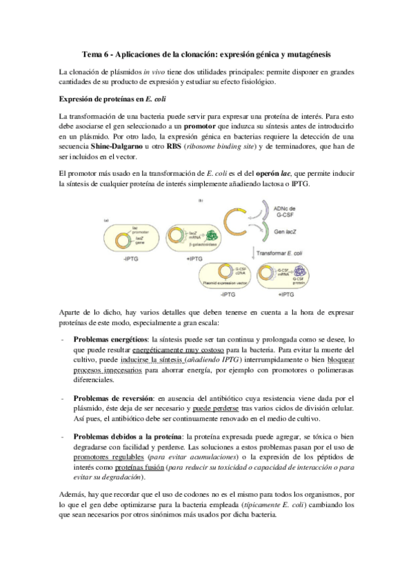 Miniatura del documento Tema 6 - Aplicaciones de la clonación.pdf
