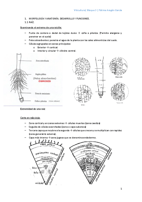 Miniatura del documento Bloque 3.pdf