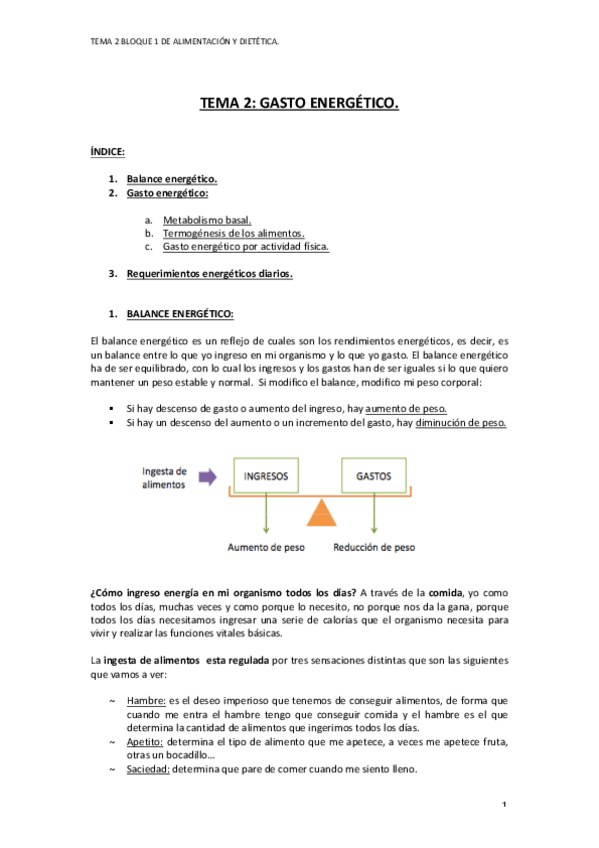 Miniatura del documento TEMA 2.pdf