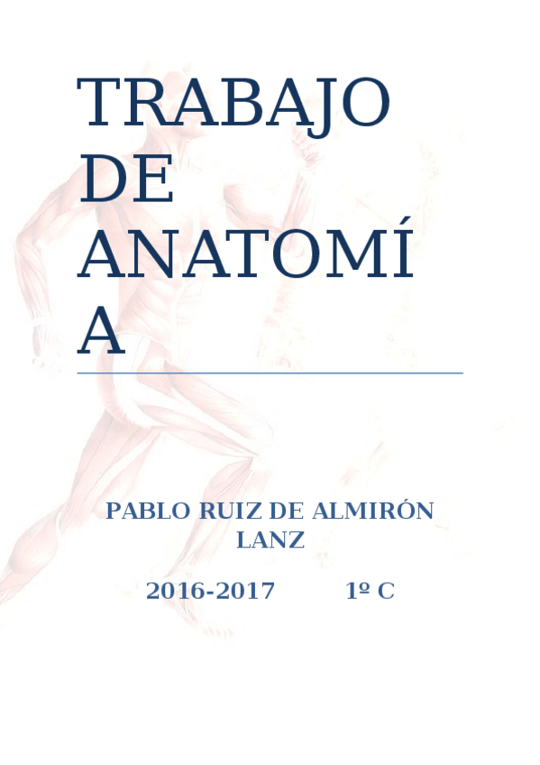 Miniatura del documento TRABAJO DE ANATOMÍA Pablo.docx