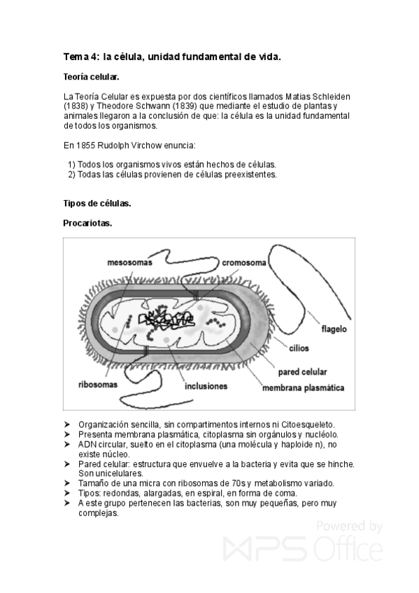 Miniatura del documento resumen tema 4.pdf