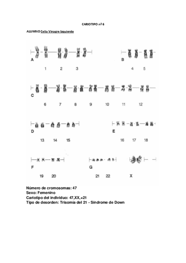 Miniatura del documento ResultadoCariotipo6.pdf