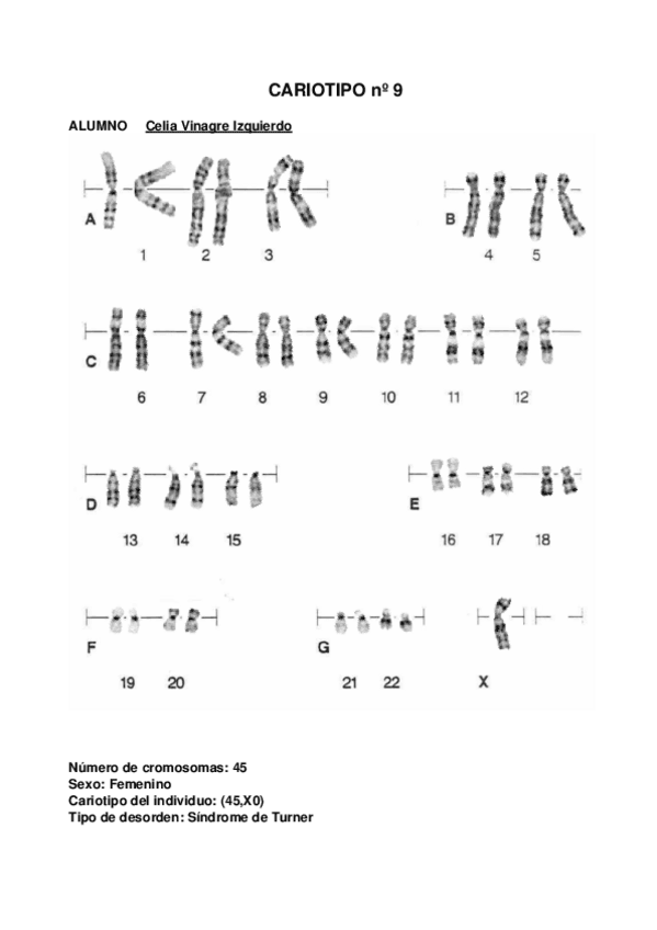 Miniatura del documento ResultadoCariotipo9.pdf