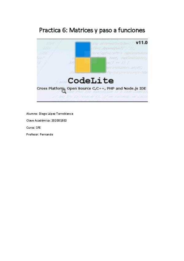 Miniatura del documento 1ELopezTorreblancaDiegoP6.pdf