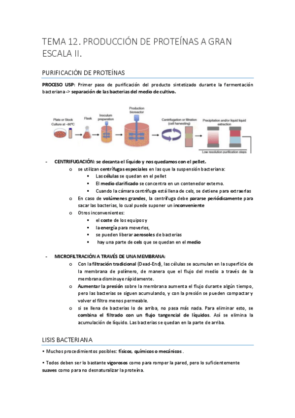 Miniatura del documento IG-TEMA-12.pdf
