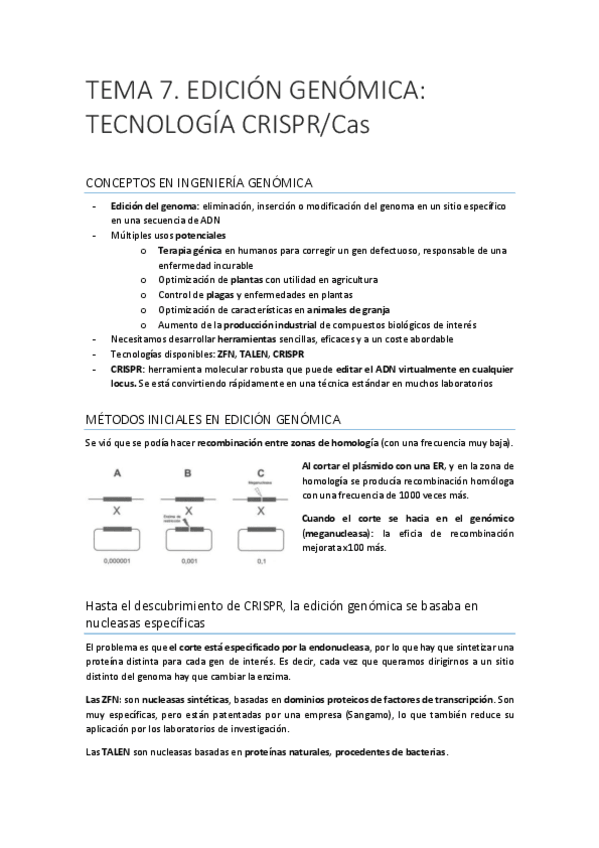 Miniatura del documento IG-TEMA-7.pdf