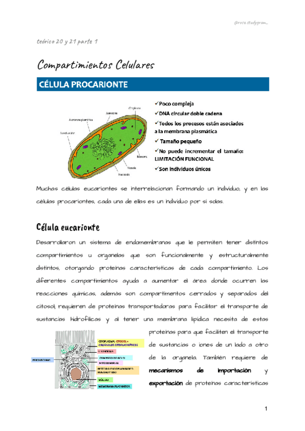 Miniatura del documento teorico-20-y-21-bcm.pdf
