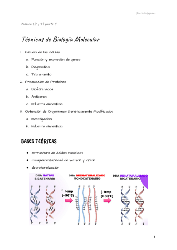 Miniatura del documento teorico-18-y-19-bcm.pdf