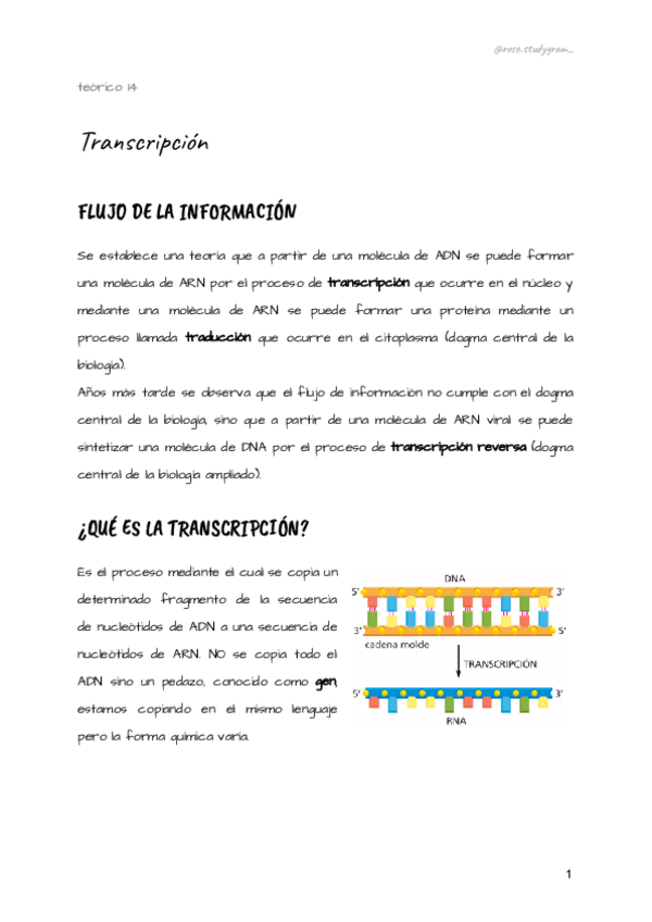 Miniatura del documento teorico-14-bcm.pdf