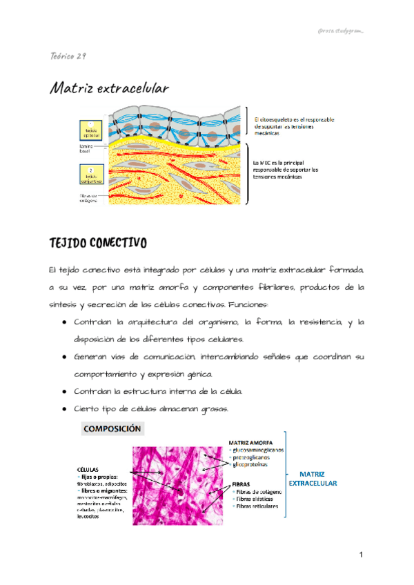Miniatura del documento Teorico-29-bcm.pdf