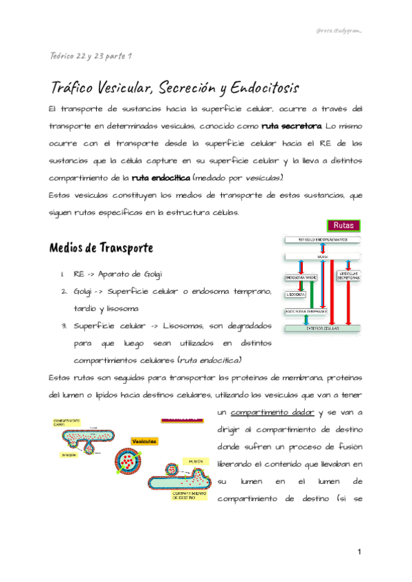 Miniatura del documento Teorico-22-y-23-bcm.pdf