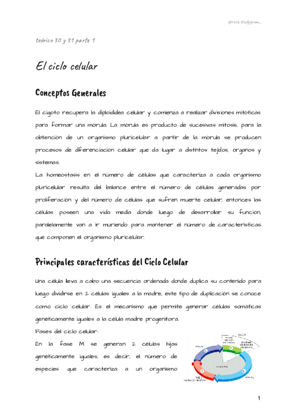 Miniatura del documento Teorico-30-y-31-bcm.pdf